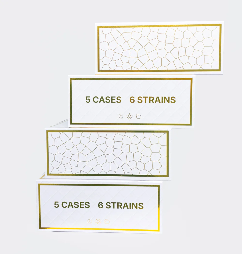 Stacked HaSheesh case boxes printed with 5 cases and 6 strains