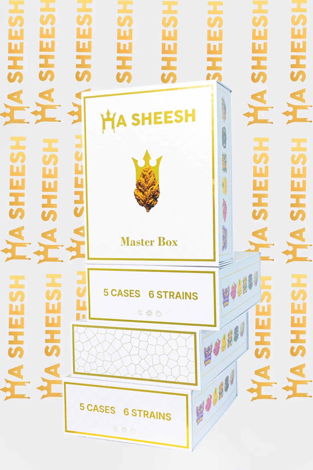 A HaSheesh master box stacked with case boxes, each marked five cases and six strains